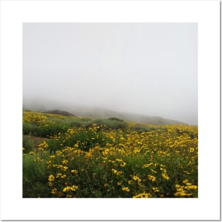 Flowers on Foggy Cliff in San Diego Posters and Art